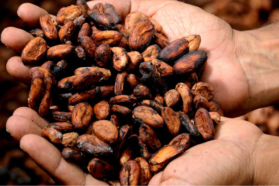 Al ser una excelente fuente de antioxidantes, el cacao ayuda a proteger nuestro cuerpo contra el estrés oxidativo y los radicales libres.