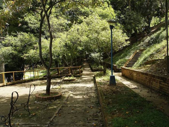 La Ciudad de México tiene una ventaja geográfica al estar rodeada de áreas verdes en varios puntos de la urbe, lo que facilita la práctica del baño de bosque.