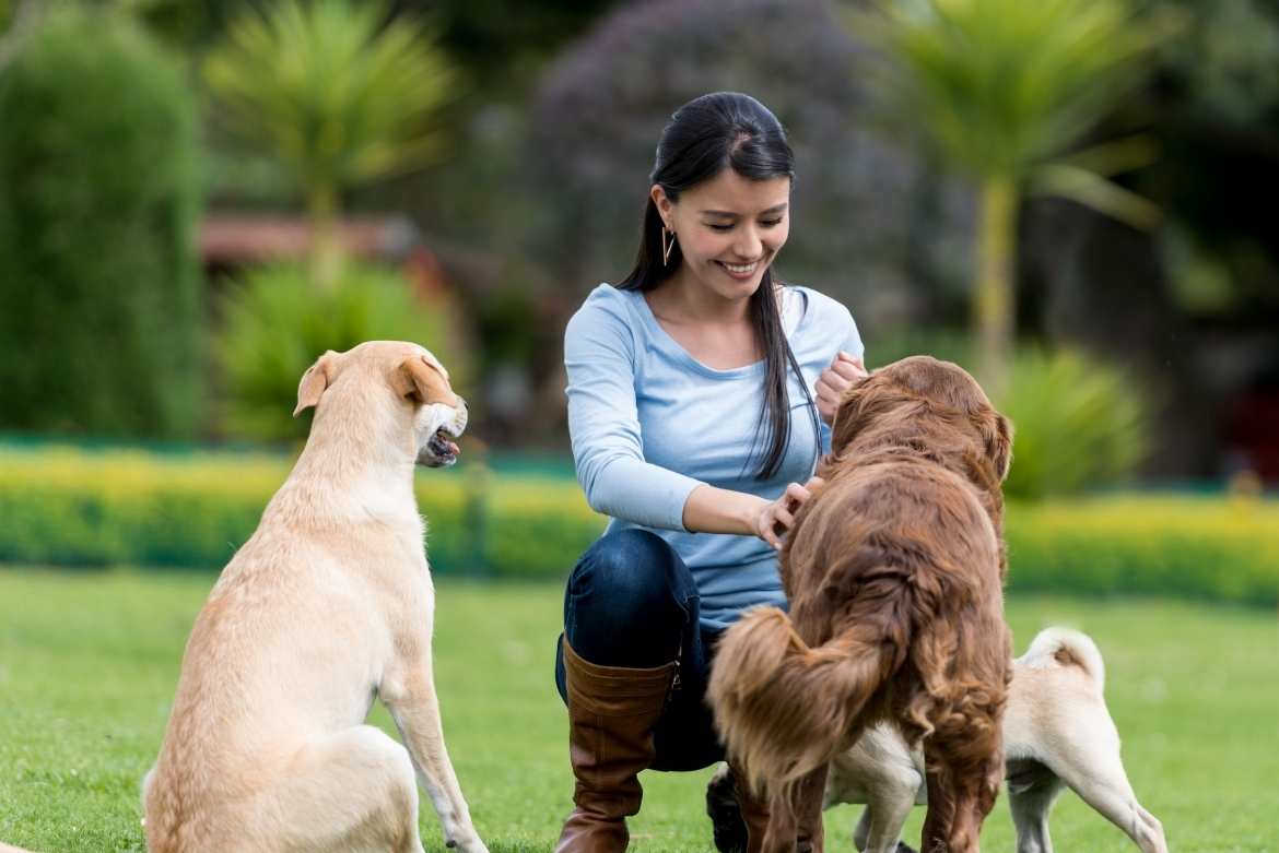 5 Beneficios de adoptar un perro como mascota que mejorarán tu calidad de vida