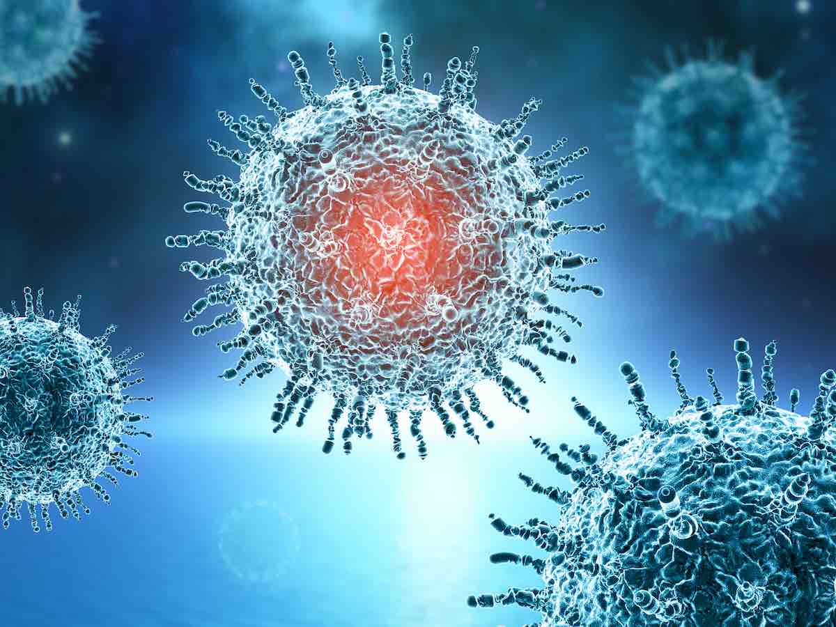 Qué se sabe y cómo afecta la mutación de Coronavirus en visones en Dinamarca
