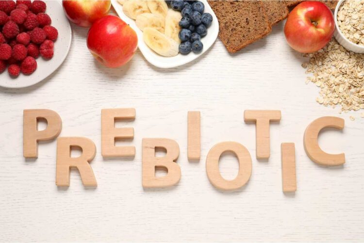 Los prebióticos son sustancias que provienen de los carbohidratos como la fibra, y que el organismo no puede digerir.