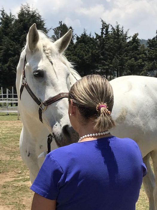 El coaching asistido por caballos está dirigido a personas de cualquier edad