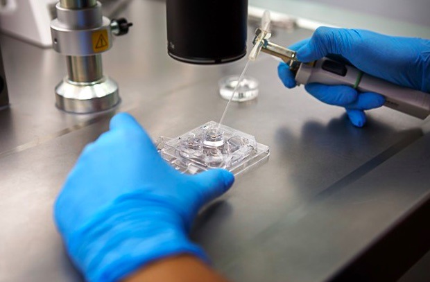 La congelación de embriones es el proceso que utiliza hormonas para estimular la producción de óvulos fértiles, para después extraerlos y fertilizarlos en un laboratorio.