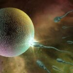 7 Datos curiosos de los espermatozoides que todo hombre debe conocer