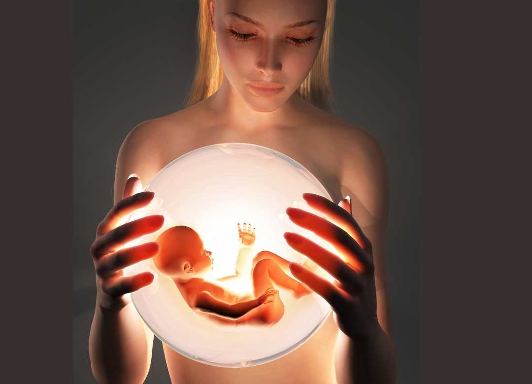 Congelación de embriones: la reproducción asistida para fecundar un óvulo a futuro