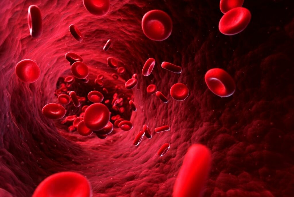 La hemofilia es una enfermedad genética que afecta la coagulación, ocasionando sangrados excesivos de forma espontánea
