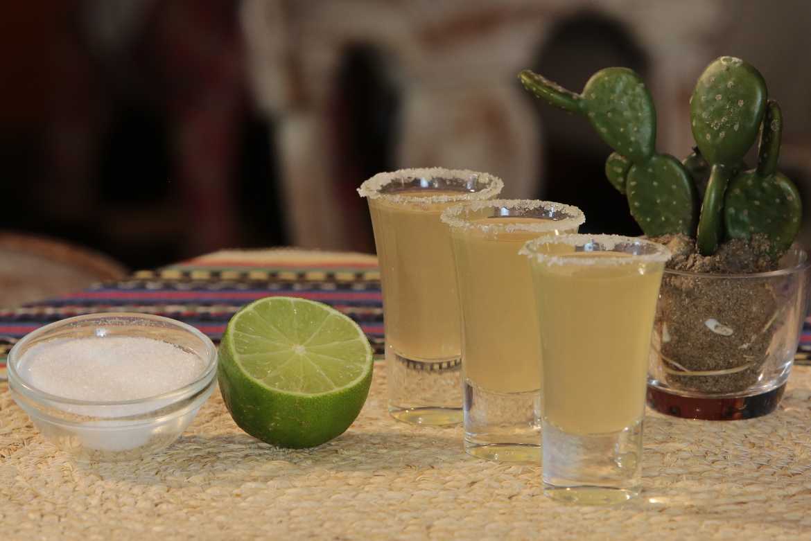 Ciertas investigaciones han descubierto que el tequila, si es 100% de agave, aporta numerosos beneficios a la salud