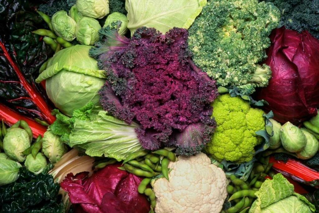 Uno de los elementos clave de la veganismo a base de alimentación vegetal es la presencia de antioxidantes.