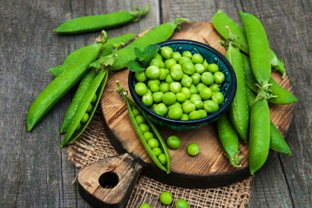 Los chícharos son pequeñas pero poderosas legumbres verdes, y forman parte importante del veganismo. 