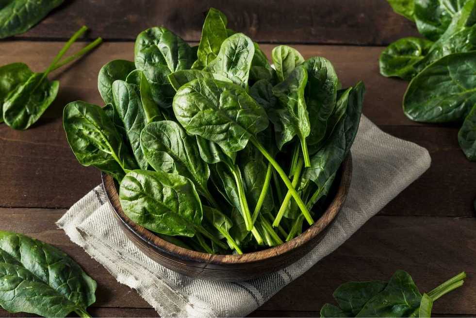 Las espinacas son una deliciosa verdura verde con un alto contenido en antioxidantes beneficiosos, capaz de reducir considerablemente el riesgo cardiovascular.