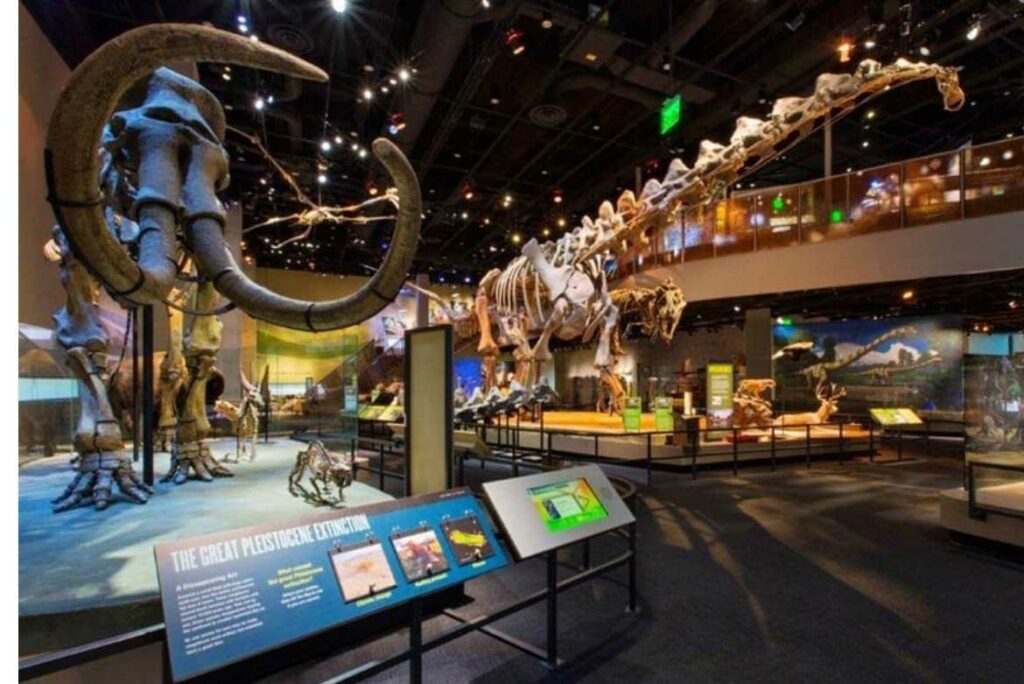 El nuevo Perot Museum of Nature Science, es un museo de arte  diseñado para atraer más turismo en Dallas. 