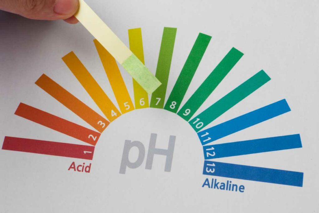 Mediante pruebas de orina y sangre, se puede conocer el nivel de pH. 